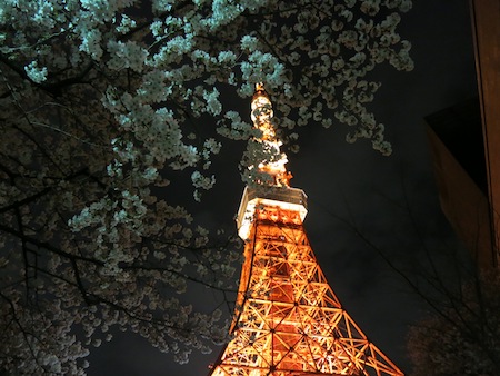 tower_blossom.jpg